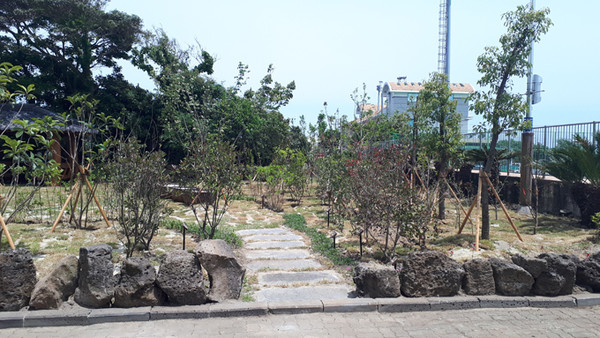 대정중학교 이미지