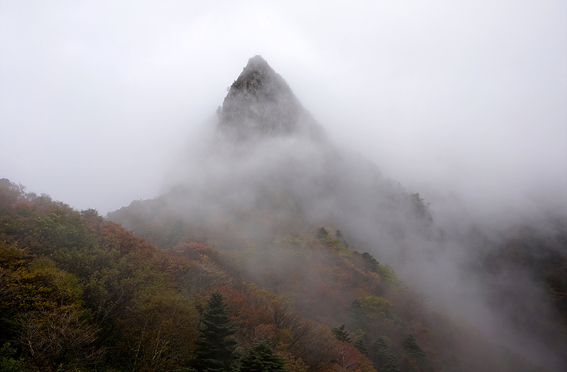 오색단풍으로 물든 한라산 삼각봉 일대가 안개를 뚫고 신비로운 자태를 드러내고 있다. &lt;사진=한라산국립공원&gt;