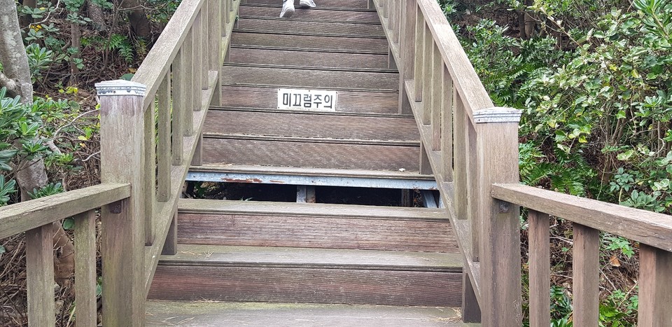 정상으로 올라가는 계단이 뜯겨져 나가 어린이들이 위험함.
