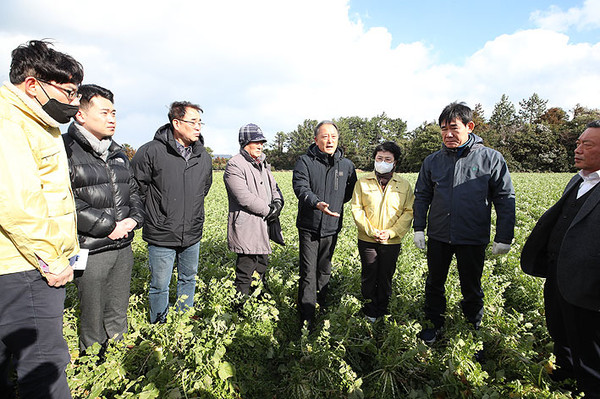 대설.한파 농작물 피해현장을 찾은 제주도의회 농수축경제위원회 의원들. ⓒ헤드라인제주